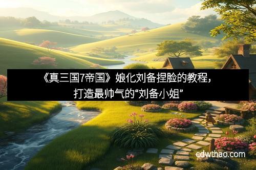 《真三国7帝国》娘化刘备捏脸的教程，打造最帅气的“刘备小姐”